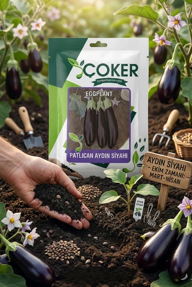 Çoker Aydın Siyah Patlıcan Tohumu 25 Gr ürün görseli 1