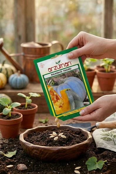 Arzuman Bal Kabağı Tohumu 10 gr ürün görseli 1