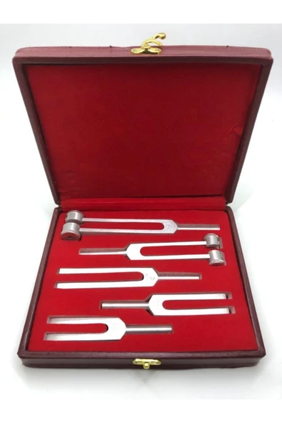 Bestmed 5 Li Diapozon Set Diyapozon Set Frekans 128, 256, 512, 1024 Ve 2048 ürün görseli 1