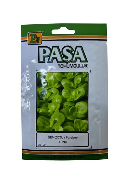 Paşa Semizotu Tohumu 10 Gr - Resim 2