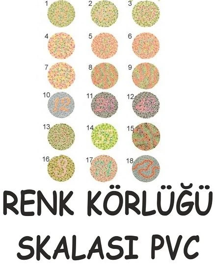Renk Körlüğü Test Skalası ürün görseli 1