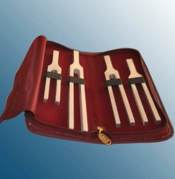 Medishop Dyapazon Set 4 lu ürün görseli 1