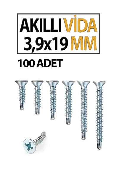 Akıllı Vida 3,9X 19 MM 100 Adet - Resim 2