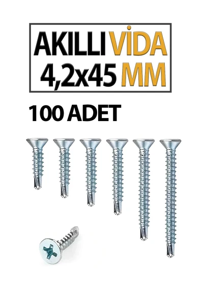 Akıllı Vida 4,2X45 MM 100 Adet - Resim 2
