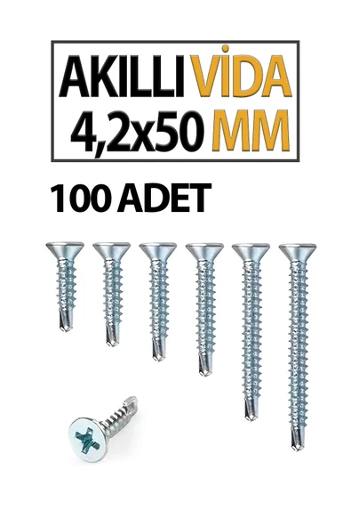 Akıllı Vida 4,2X50 MM 100 Adet - Resim 2