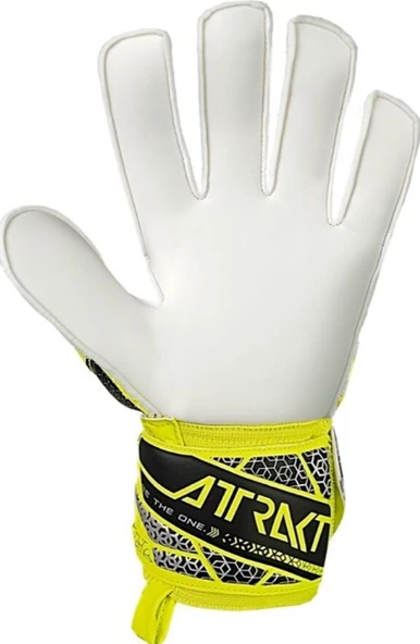 Reusch Attrakt Solid Kaleci Eldiveni (Kemiksiz) 5570515-2014 - Resim 3