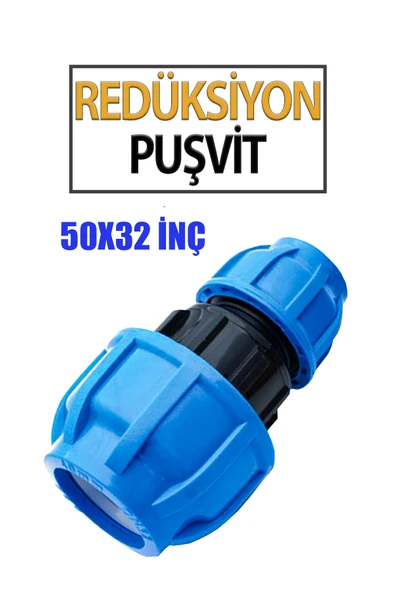 RedüksiyonPuşvit 50x32 ürün görseli 1