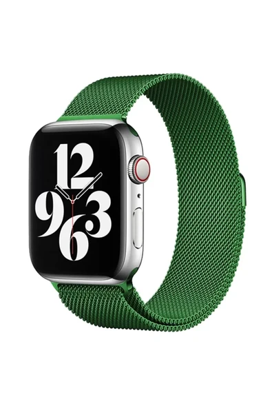 Newface Apple Watch 38mm Metal Mıknatıslı Kordon - Yeşil ürün görseli 1