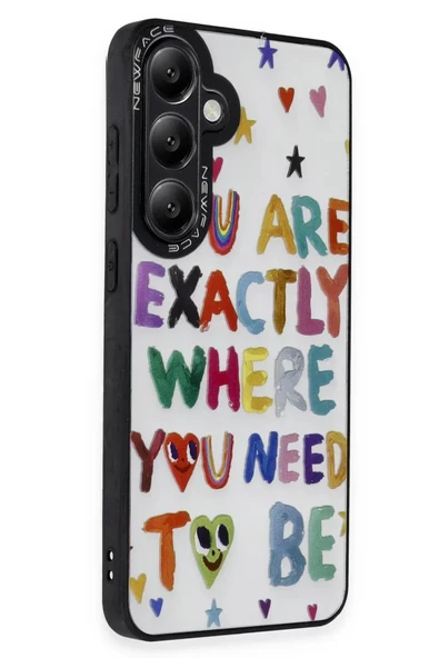 Newface Samsung Galaxy S24 Kılıf Mirror Desenli Kapak - Mirror - 10 ürün görseli 1