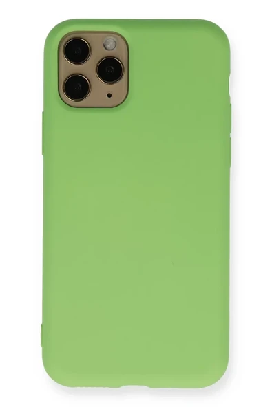 Newface Apple iPhone 11 Pro Kılıf Nano içi Kadife Silikon - Yeşil ürün görseli 1
