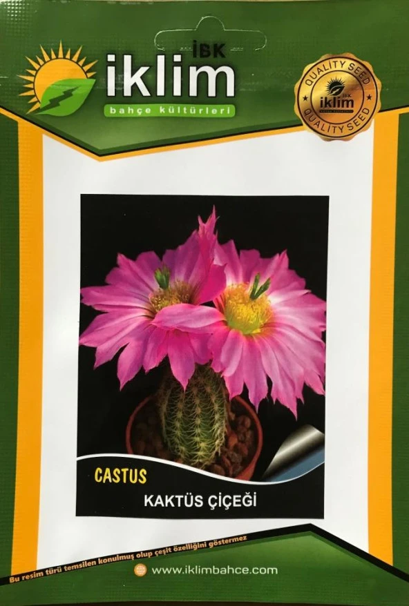 KAKTÜS ÇİÇEĞİ TOHUMU - CRASSULA LYCOPODIOIDES (~ Takribi 50 Tohum) ürün görseli 1