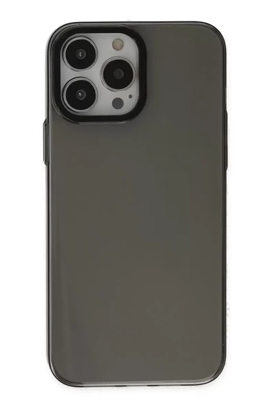 Newface Apple iPhone 13 Pro Max Kılıf Anka PC Sert Metal Kapak - Siyah ürün görseli 1