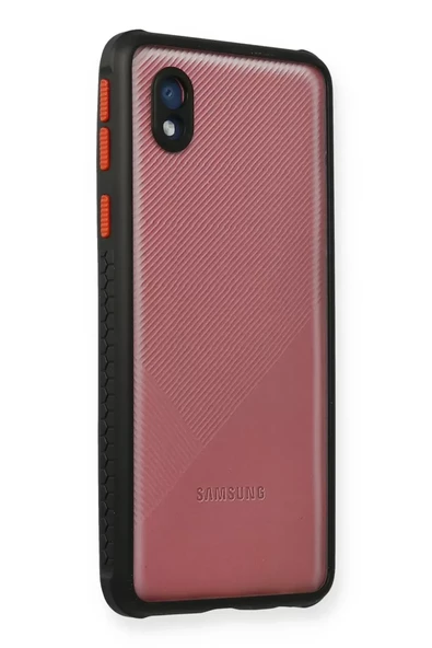 Newface Samsung Galaxy A01 Core Kılıf Miami Şeffaf Silikon - Siyah ürün görseli 1