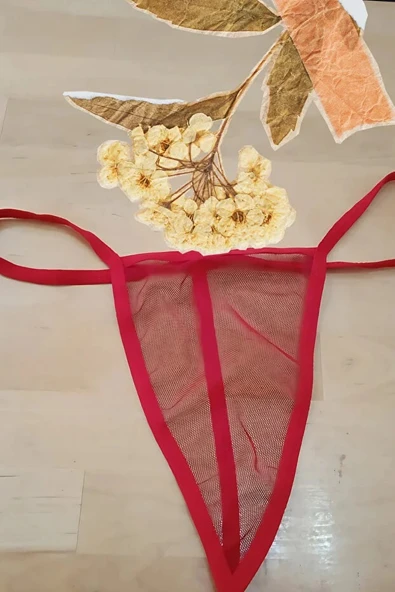 Anastasia Underwear Kadın String Tanga Tül Külot - Kırmızı (ANS112) ürün görseli 1