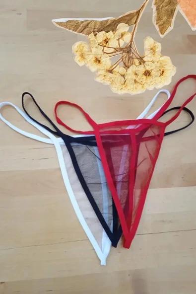 Anastasia Underwear Kadın String Tanga Tül Külot 3'lü - ANS109 ürün görseli 1