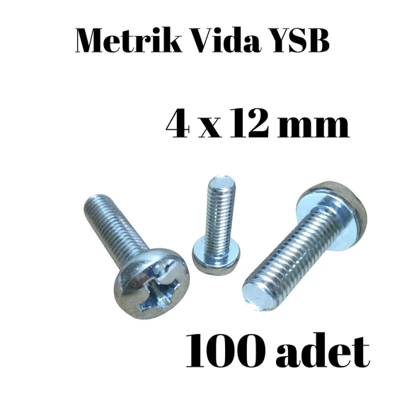 Metrik Vida YSB 4X12  100 Adet Yıldız Silindir Başlı Vida ürün görseli 1