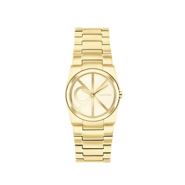 Calvin Klein CK25100127  Kadın Kol Saati ürün görseli 1
