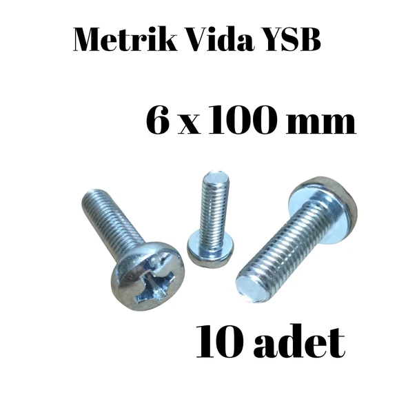 Metrik Vida YSB 6X100  10 Adet Yıldız Silindir Başlı Vida ürün görseli 1