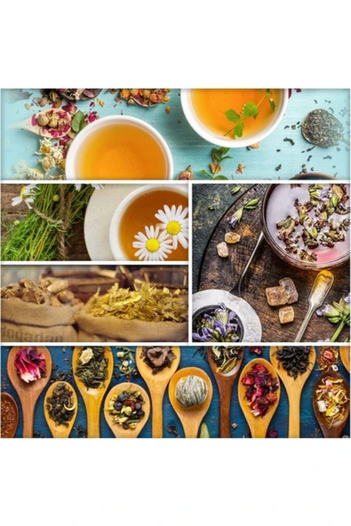 Doğadan 20'li Adaçayı - Resim 6