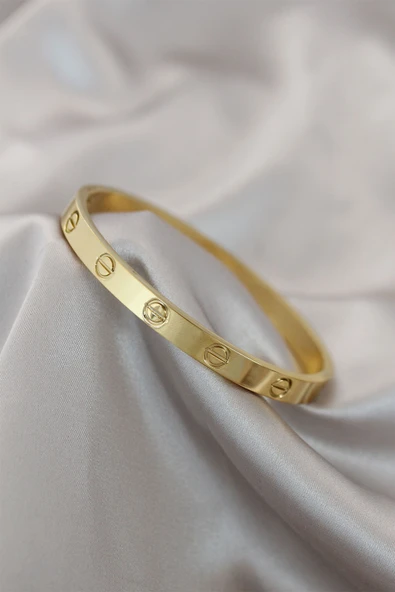 Çelik Gold Renk Bileklik - TJ-BB4117 ürün görseli 1