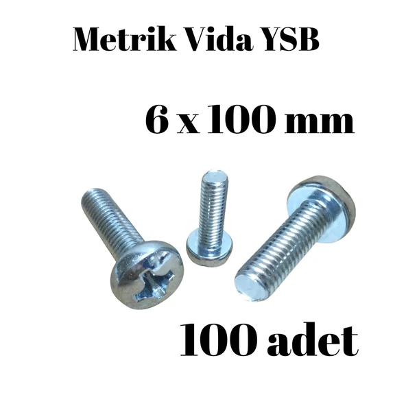 Metrik Vida YSB 6X100  100 Adet Yıldız Silindir Başlı Vida ürün görseli 1