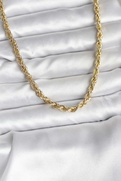14K Gold Renk Kaplama Burgu Model CM Kadın Kolye - TJ-BKO10729 ürün görseli 1