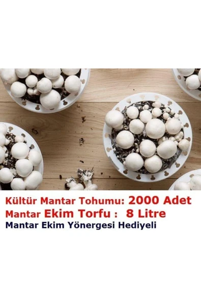 3000 Adet Beyaz Şapkalı Kültür Mantarı Tohumu + 13 Litre Mantar Ekim Torfu Ve Mantar Ekim Yönergesi ürün görseli 1