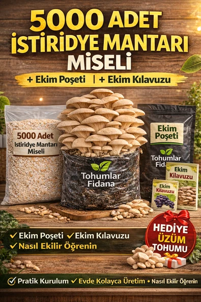 5000 Adet İstiridye Mantarı Miseli + Ekim Poşeti + Kılavuz | Hediye Üzüm Tohumu ürün görseli 1