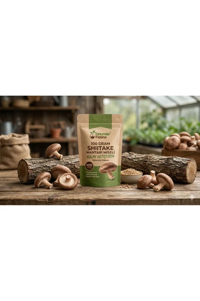 100 gram Shitake Mantar Tohumu Miseli ürün görseli 1