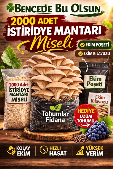2000 ADET Istiridye Mantarı Miseli Tohumu Vakumlu A Plus kalite ürün görseli 1
