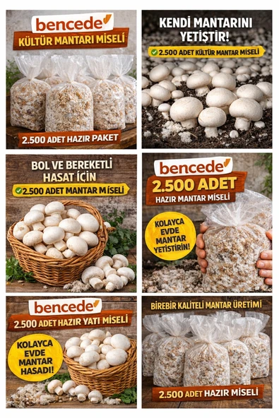 Kültür Mantarı Tohumu 2.500 Adet ürün görseli 1