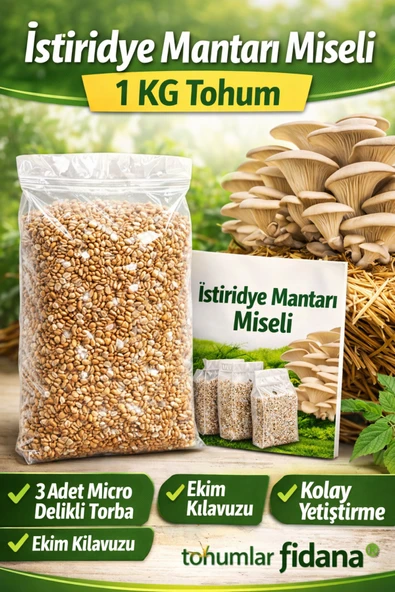Istiridye Mantarı Miseli Tohumu Vakumlu 1 Kg Tohum 3 Adet Micro Delikli Torba ( Ekim Kılavuzu) ürün görseli 1