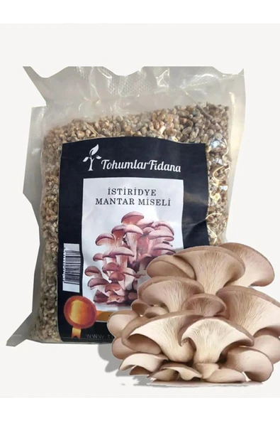 50.000 ADET Istiridye Mantarı Miseli Tohumu Vakumlu A PLUS KALİTE ürün görseli 1