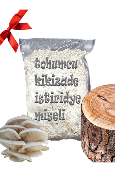 Kavak Ağacı Mantarı Tohumu Miseli 5kg Yeni Misel Istiridye Mantarı ( Rehber Hediyeli ) Kayın,kavak ürün görseli 1