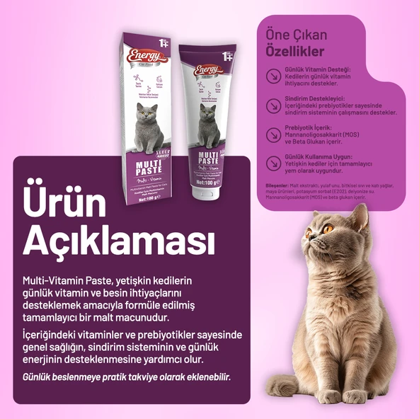 Yetişkin Kedi Multi Paste 100 g - 48 Adet - Resim 2