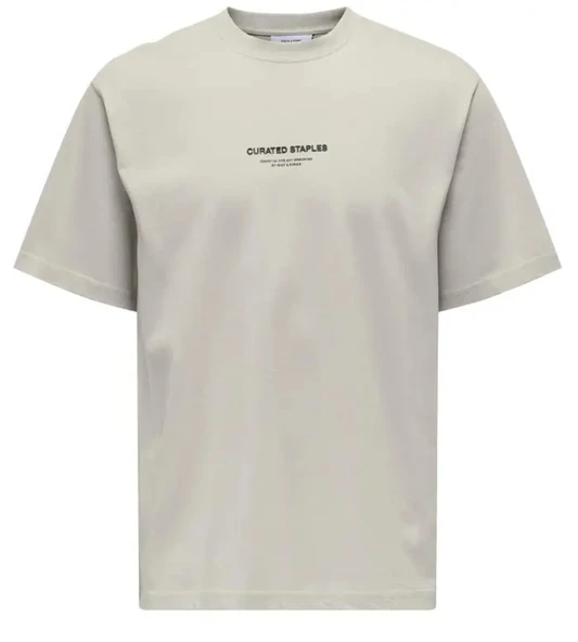 Only & Sons   ONSCURATED RLX PRINT SS TEE TR Erkek Gri T-Shirt - 22039102 ürün görseli 1