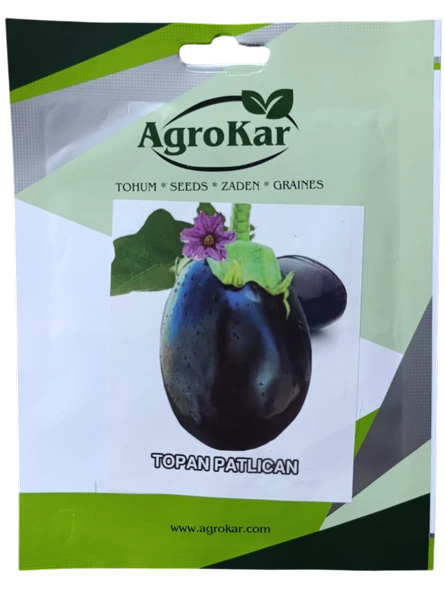 Topan Patlıcan Tohumu 10 gr ürün görseli 1