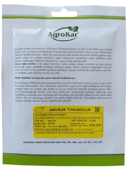 Ananas Kavun Tohumu 10 gr - Resim 2