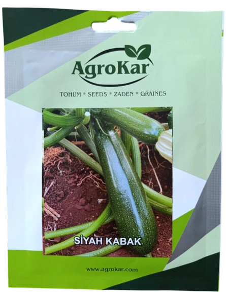 Siyah Kabak Tohumu 10 gr ürün görseli 1