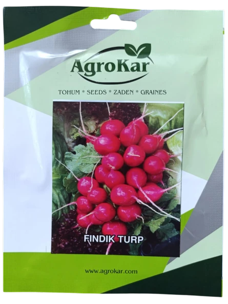 Fındık Turp Tohumu 10 gr ürün görseli 1