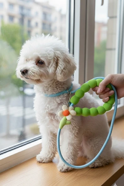 Caş Dekorasyon Yeşil Renk Çiçek Figürlü İpli Kedi Köpek Tasması ürün görseli 1