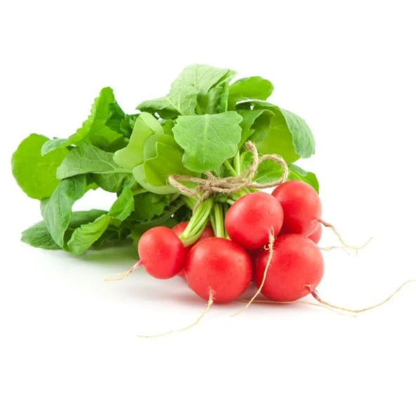 Fındık Turp Tohumu 10 gr - Resim 3