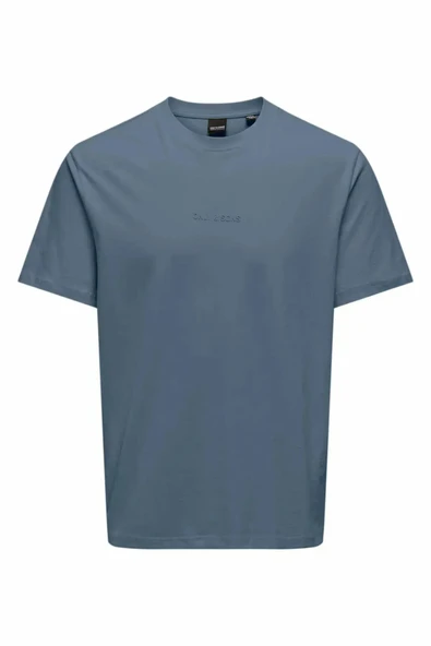 Only & Sons   ONSLEVI LIFE REG TEXT SS TEE Erkek Blue T-Shirt - 22028147 ürün görseli 1