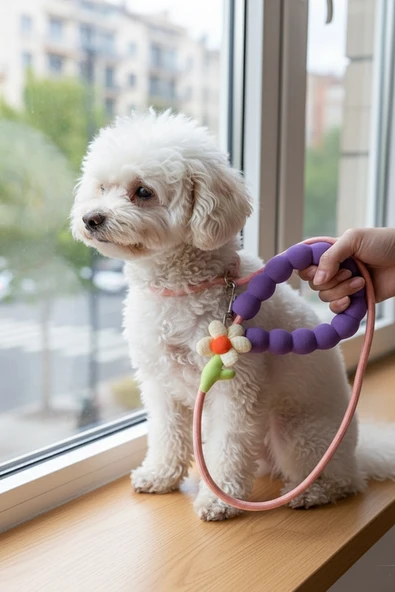 Caş Dekorasyon Karışık Renk Çiçek Figürlü İpli Kedi Köpek Tasması ürün görseli 1
