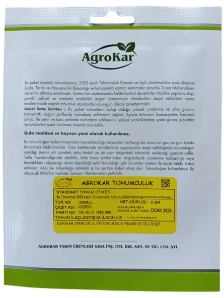 Iceberg Marul Tohumu 2 gr - Resim 2