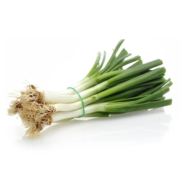 Yeşil Soğan Tohumu 10 gr - Resim 3