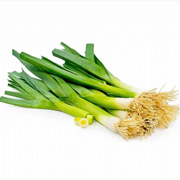 Pırasa Tohumu 10 gr - Resim 3