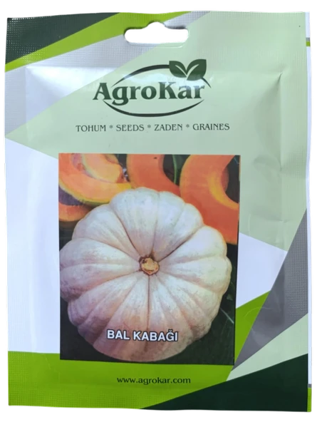 Bal Kabağı Tohumu 10 gr ürün görseli 1