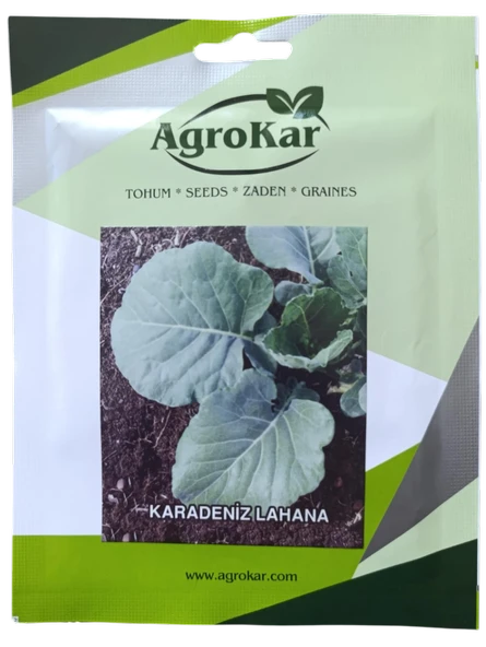 Karalahana (Karadeniz Lahana) Tohumu 10 gr ürün görseli 1