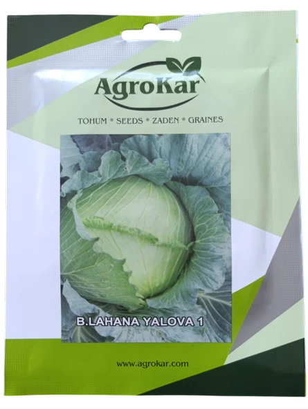 Beyaz Lahana (Kelem) Tohumu 10 gr ürün görseli 1